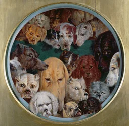 Zwanzig Hunde, 1865